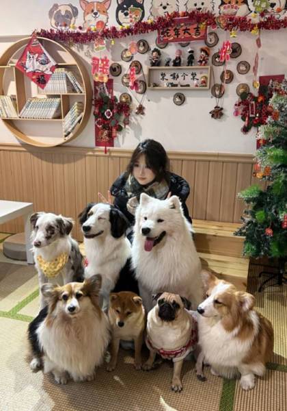 推荐艺人