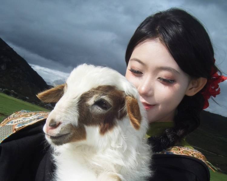 艺人背景图