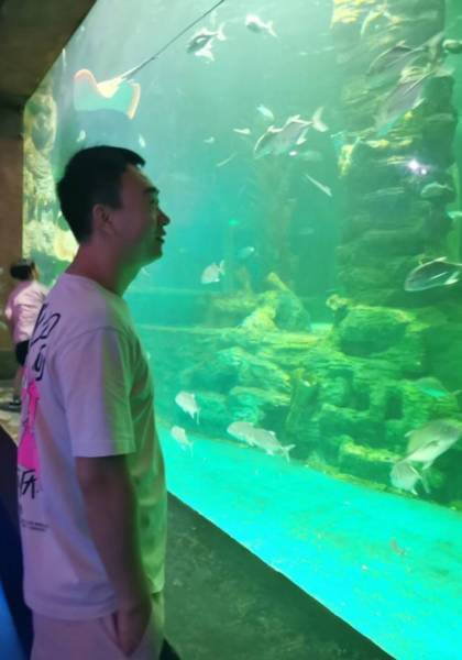 形象照片