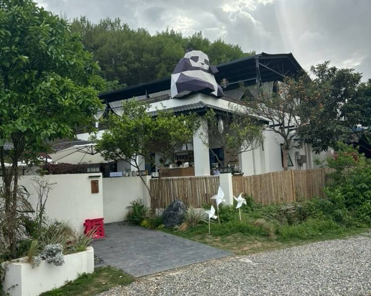艺人背景图