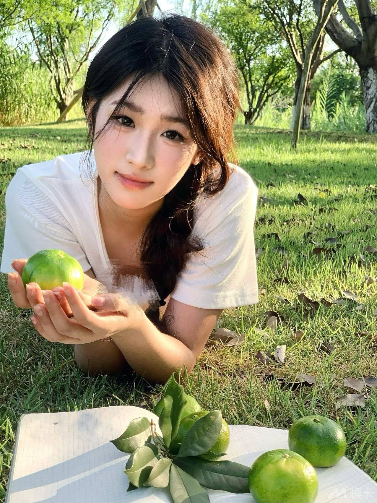 作品图片