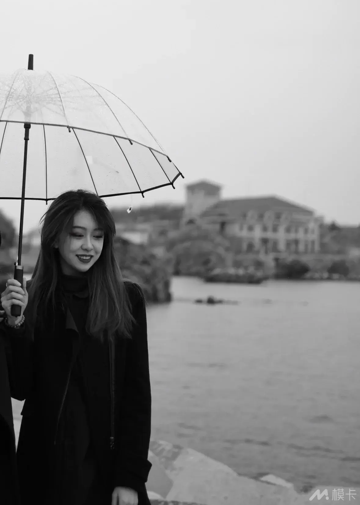 作品图片