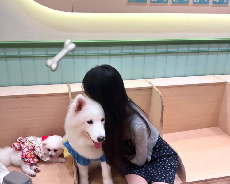 艺人背景图