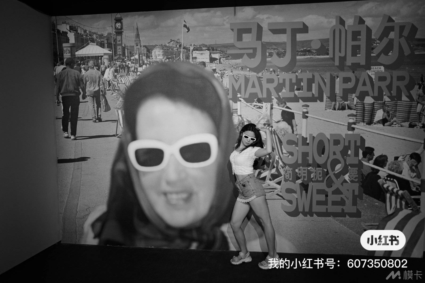 作品图片