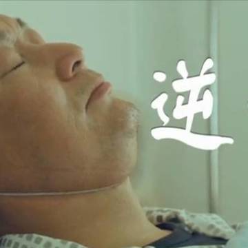 经历图片