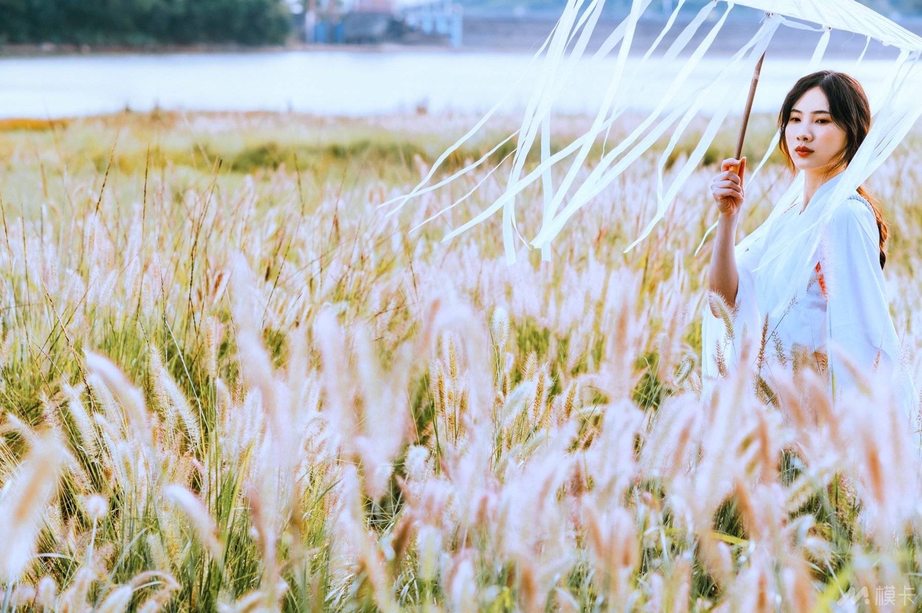室外版神明少女狗尾巴草秋天的味道