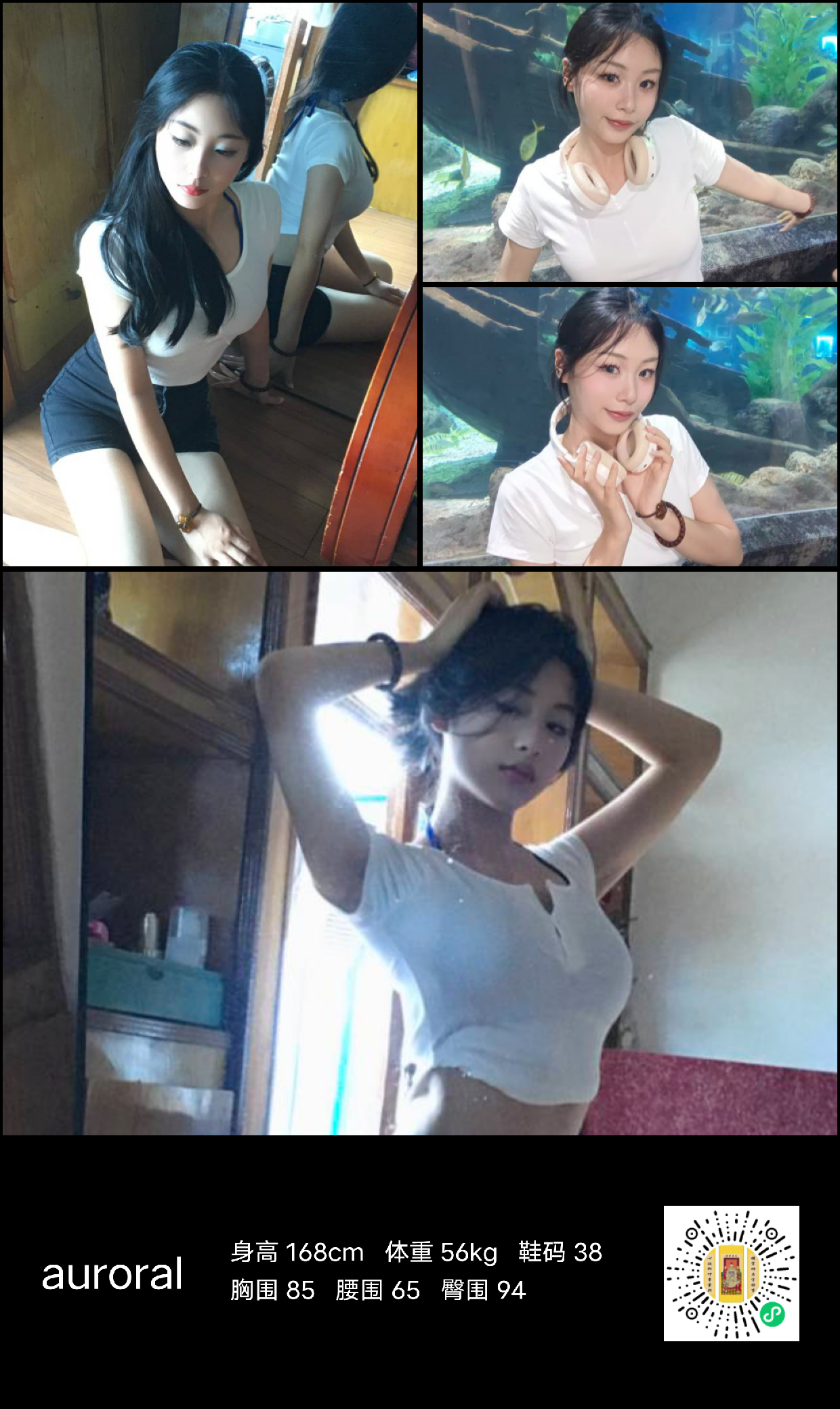 模卡