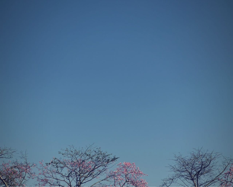 艺人背景图