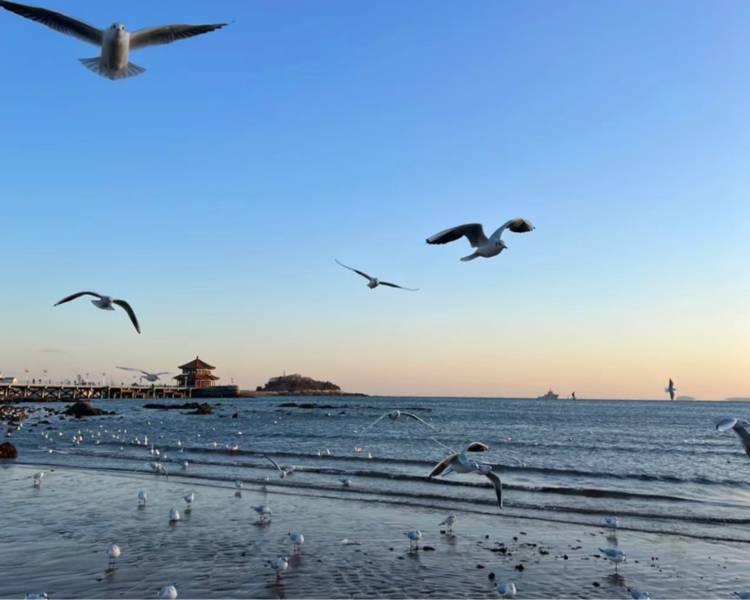 艺人背景图