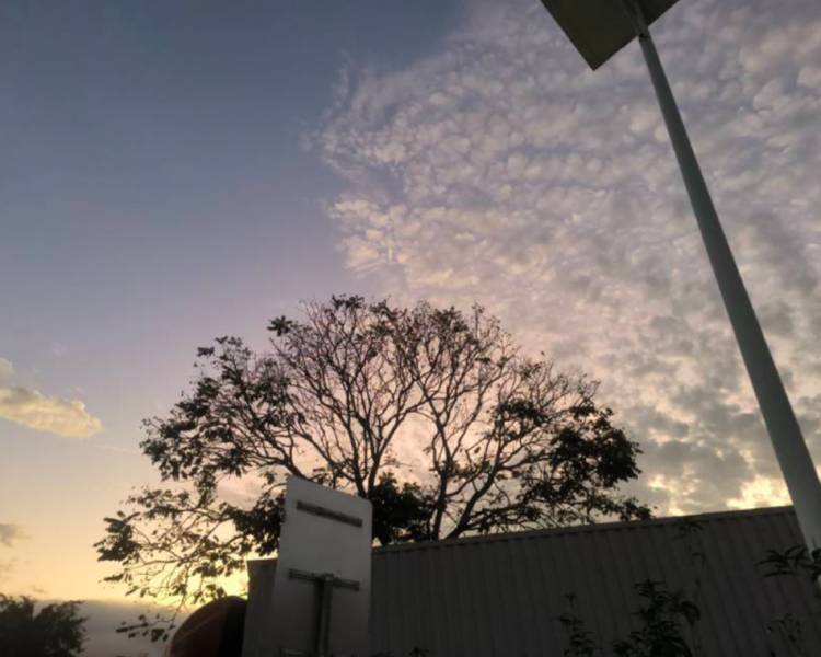 艺人背景图