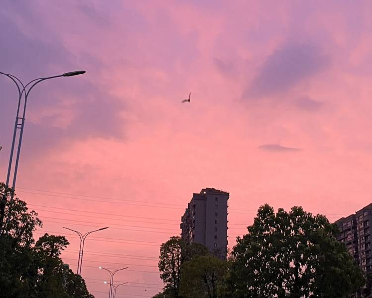 艺人背景图