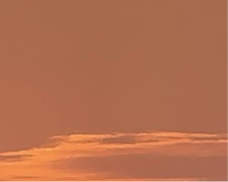 艺人背景图
