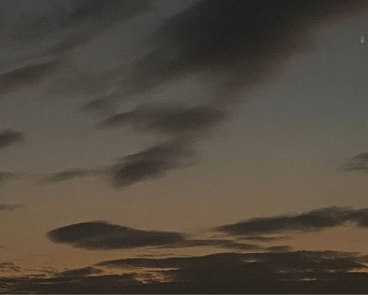 艺人背景图