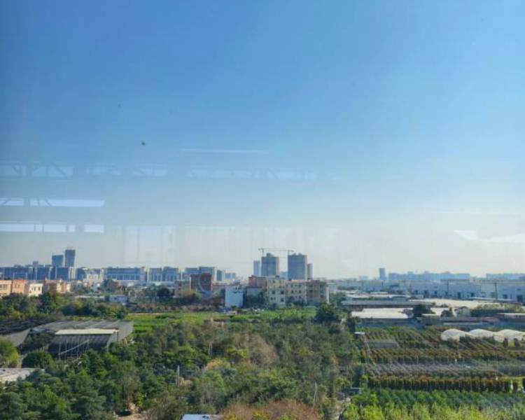 艺人背景图