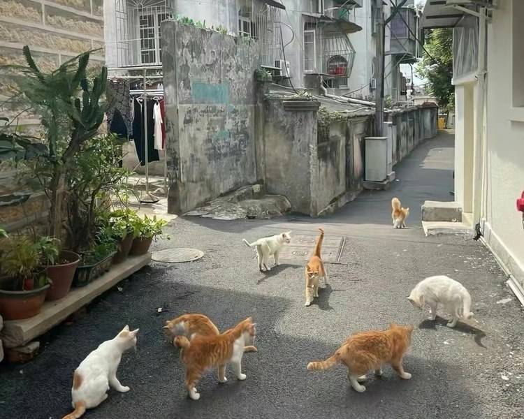 艺人背景图