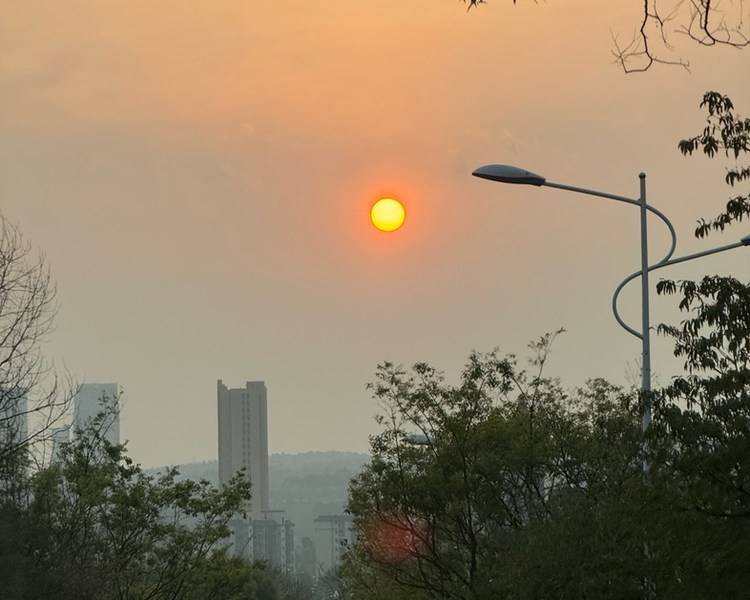 艺人背景图