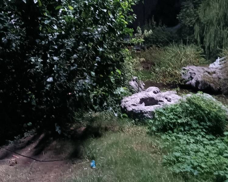 艺人背景图