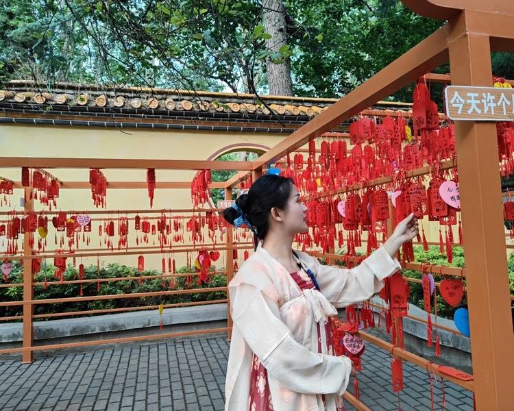 艺人背景图