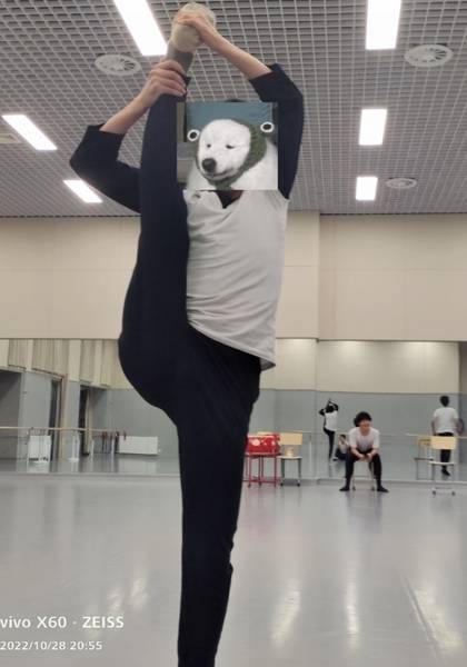 形象照片