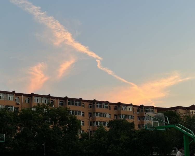 艺人背景图