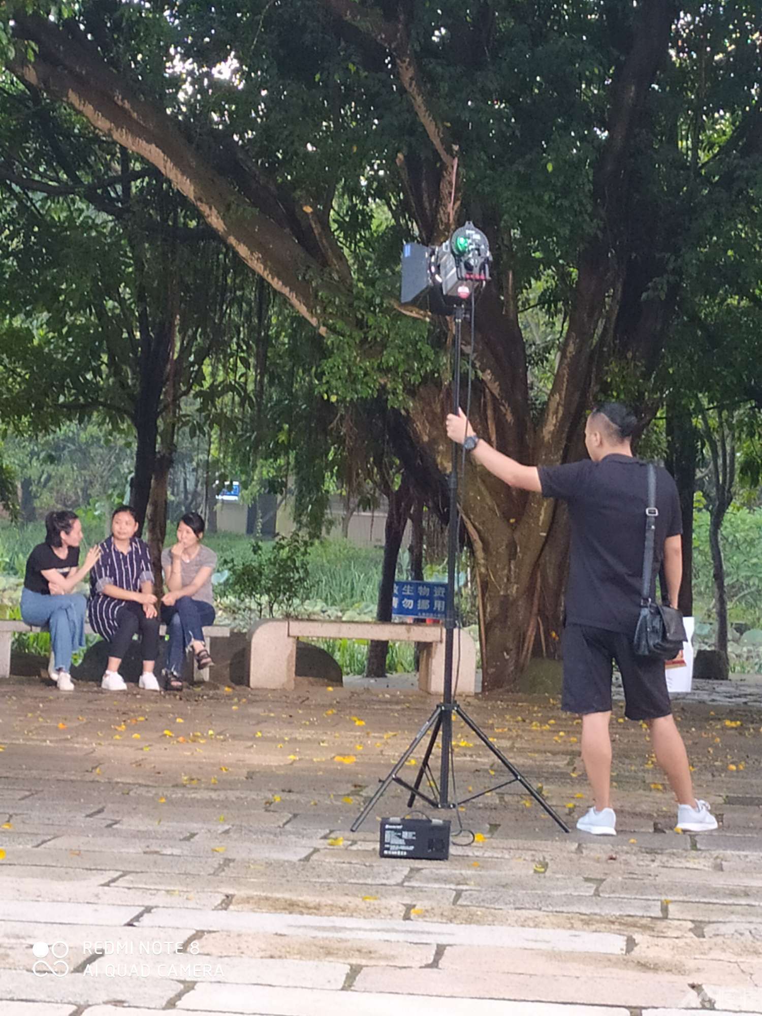 作品图片
