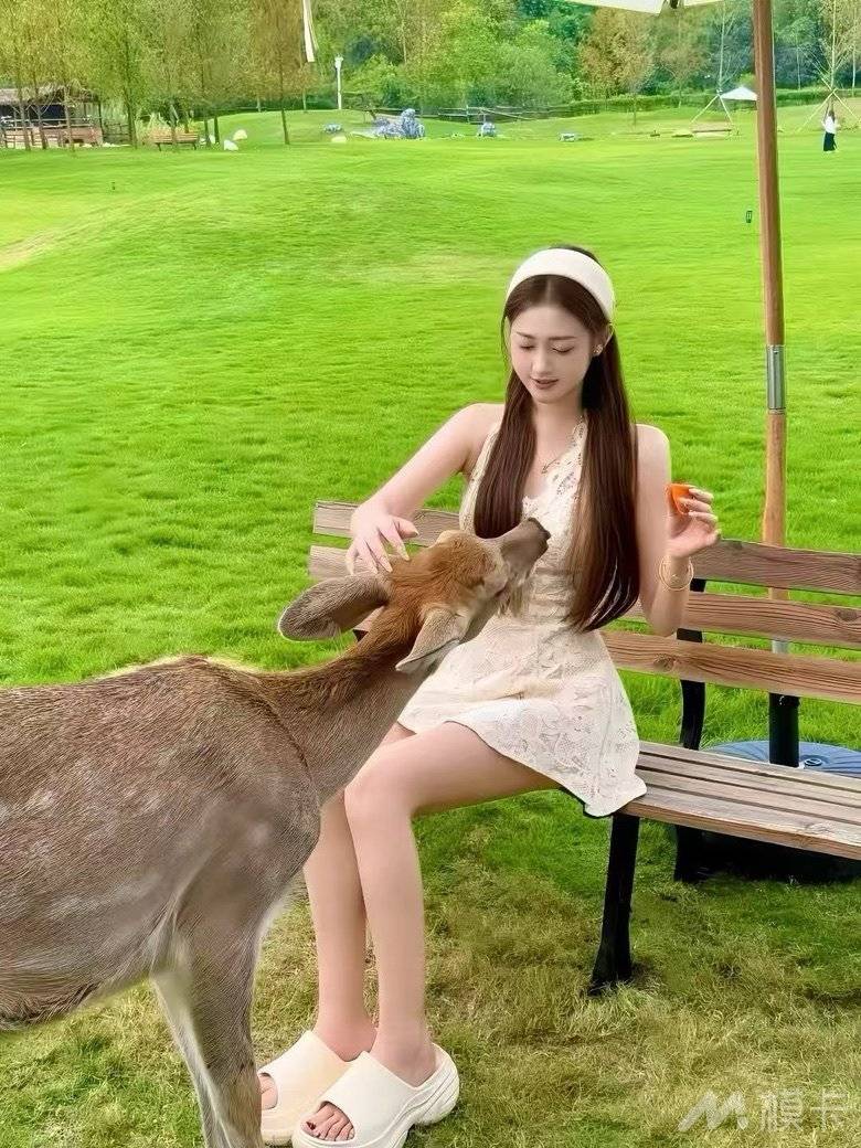 通告图片