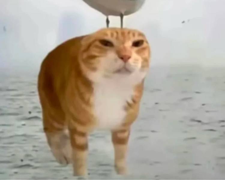 艺人背景图