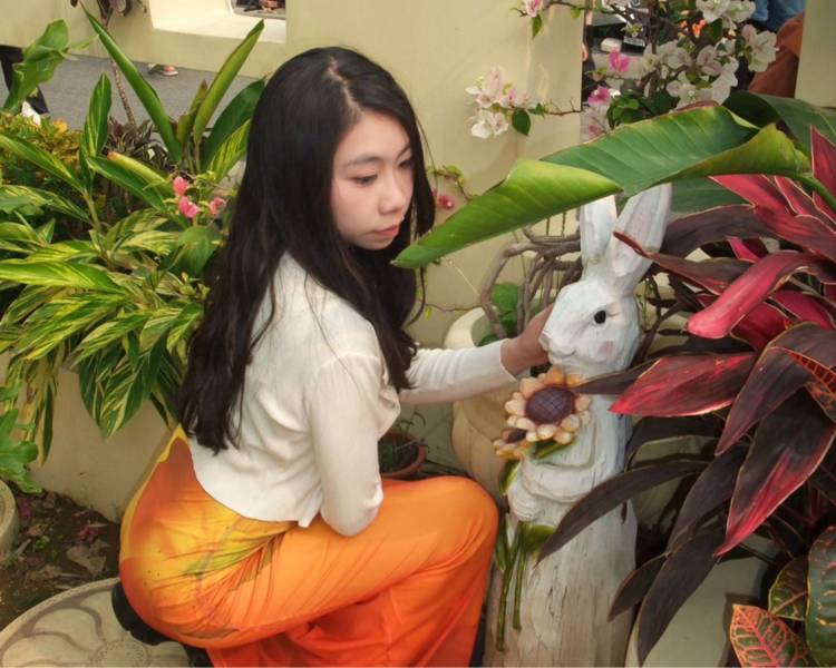 艺人背景图