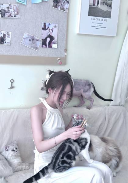 形象照片