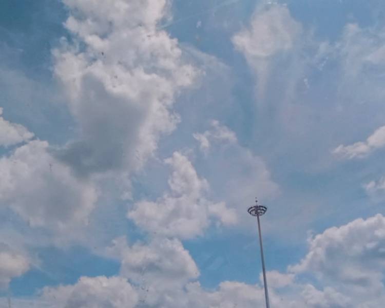 艺人背景图