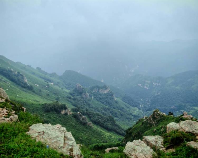 艺人背景图