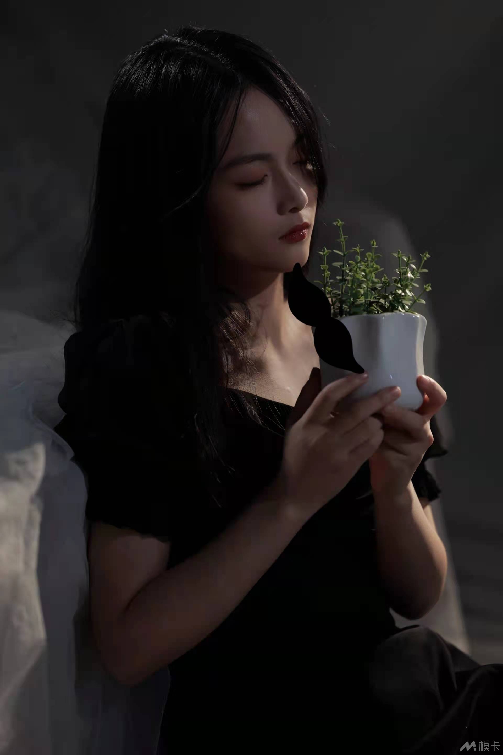 作品图片