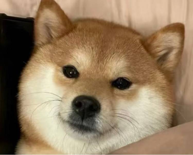 艺人背景图