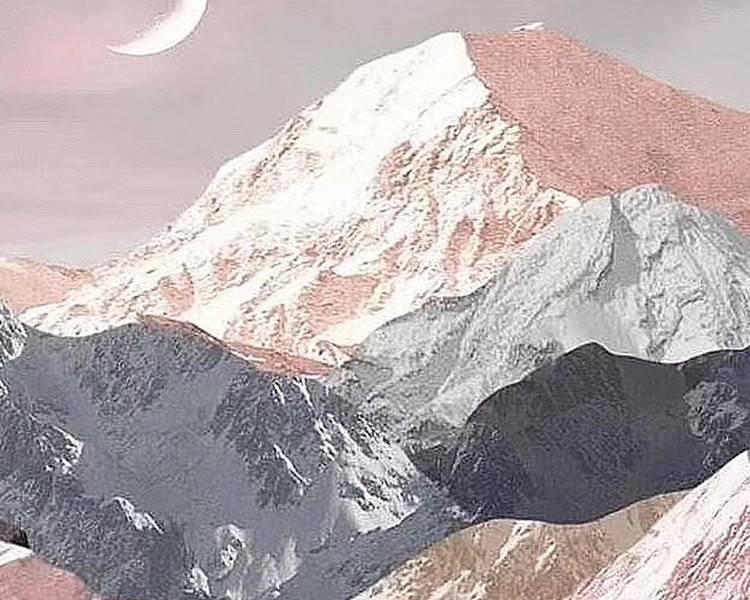 艺人背景图