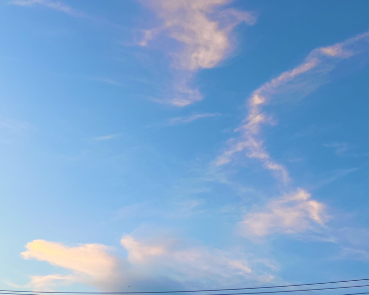 艺人背景图