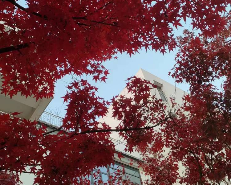 艺人背景图