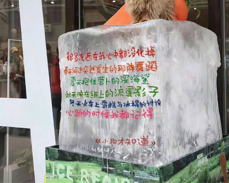 艺人背景图