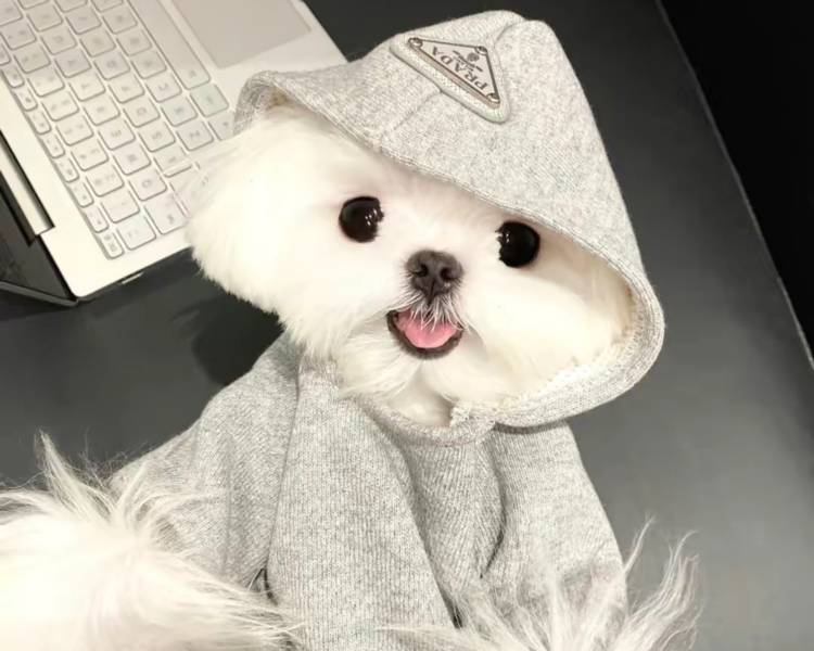 艺人背景图