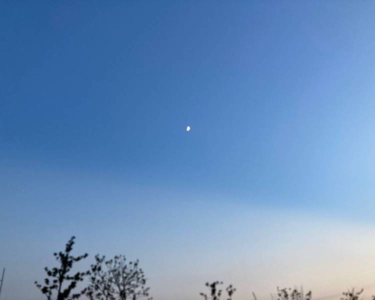 艺人背景图