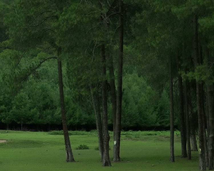 艺人背景图