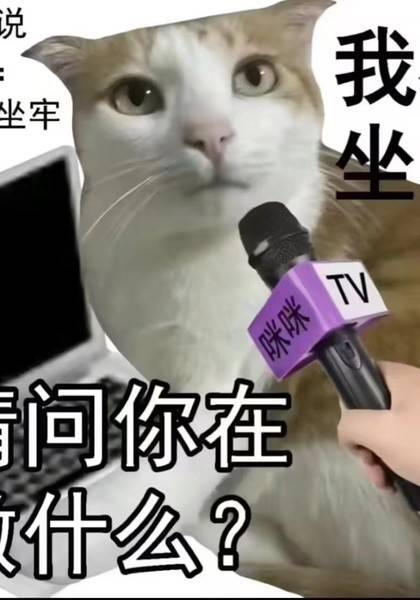 推荐艺人