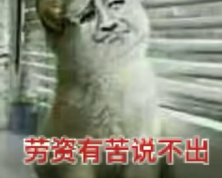 艺人背景图