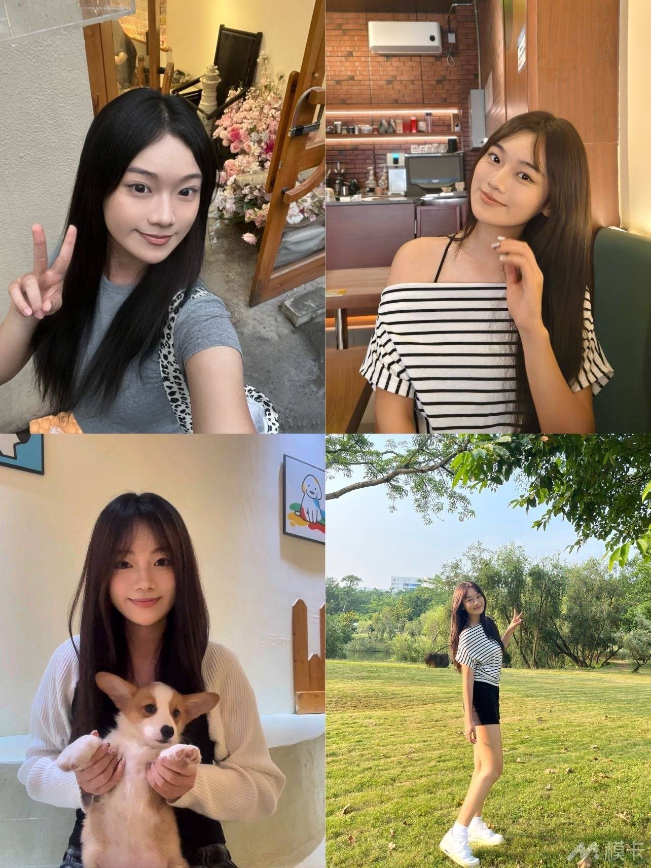 作品图片
