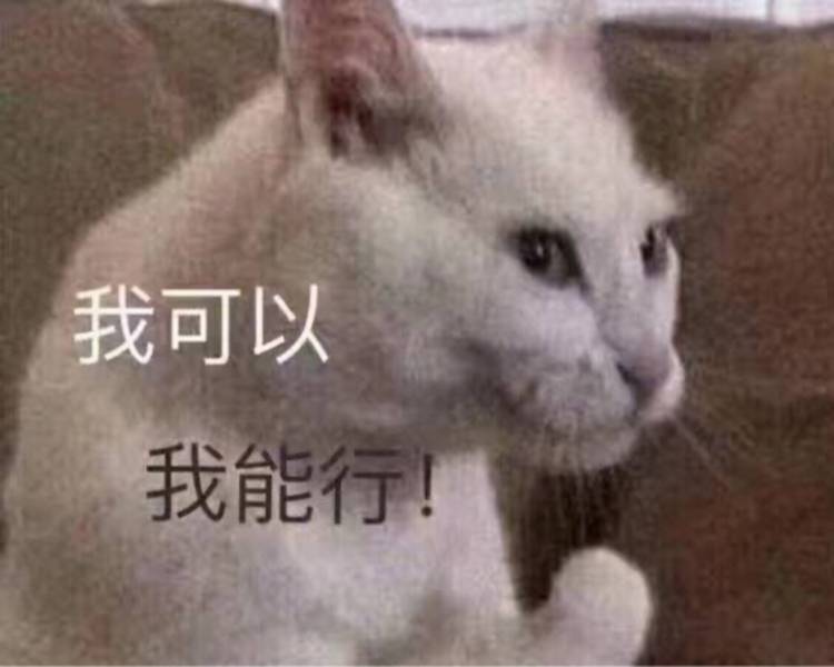 艺人背景图