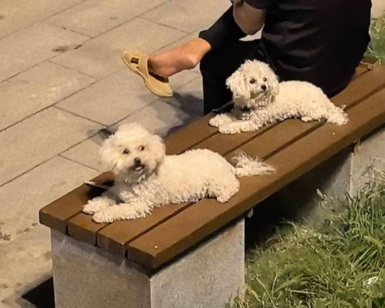 艺人背景图
