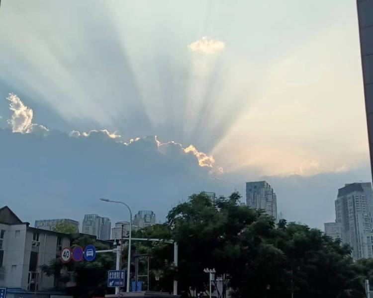 艺人背景图