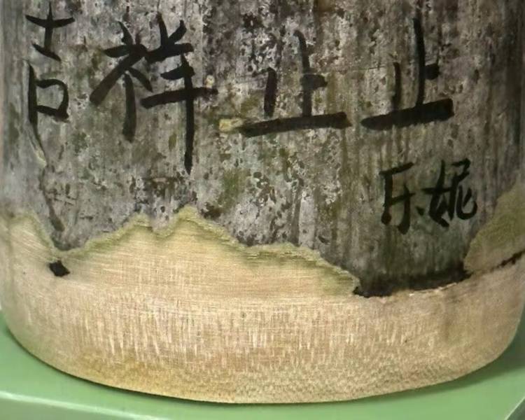 艺人背景图