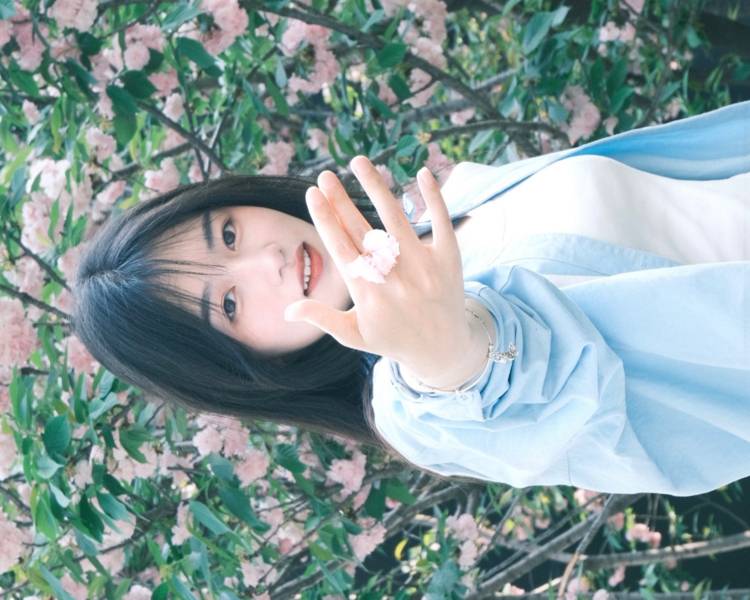 艺人背景图
