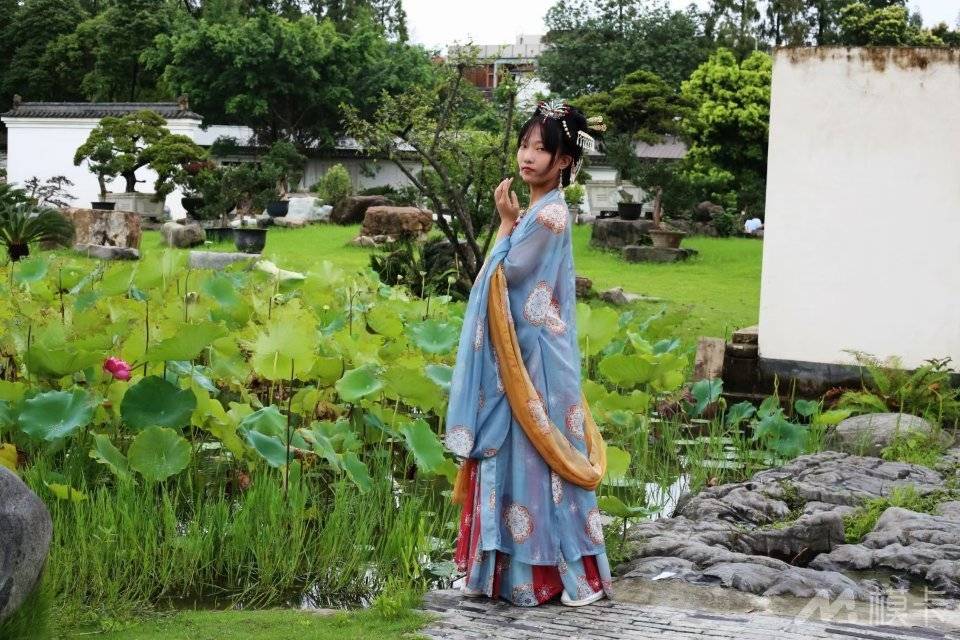 作品图片