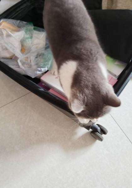 形象照片